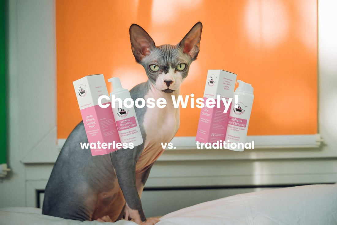 A Sphynx cat sits between a bottle of waterless cat shampoo and a traditional bath skin cleanser