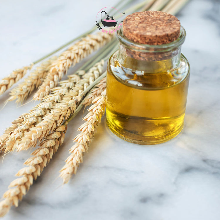 Wheat grass by a glass bottle of oil with a cork