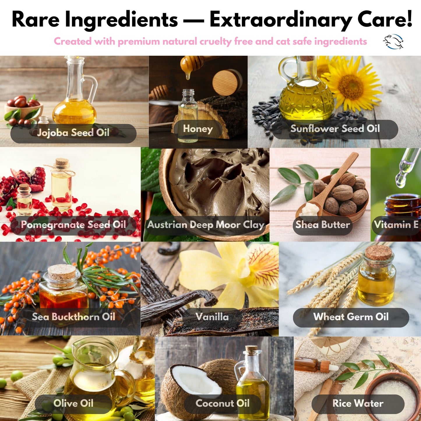 The Ultimate Hairless Cat Skincare Kit