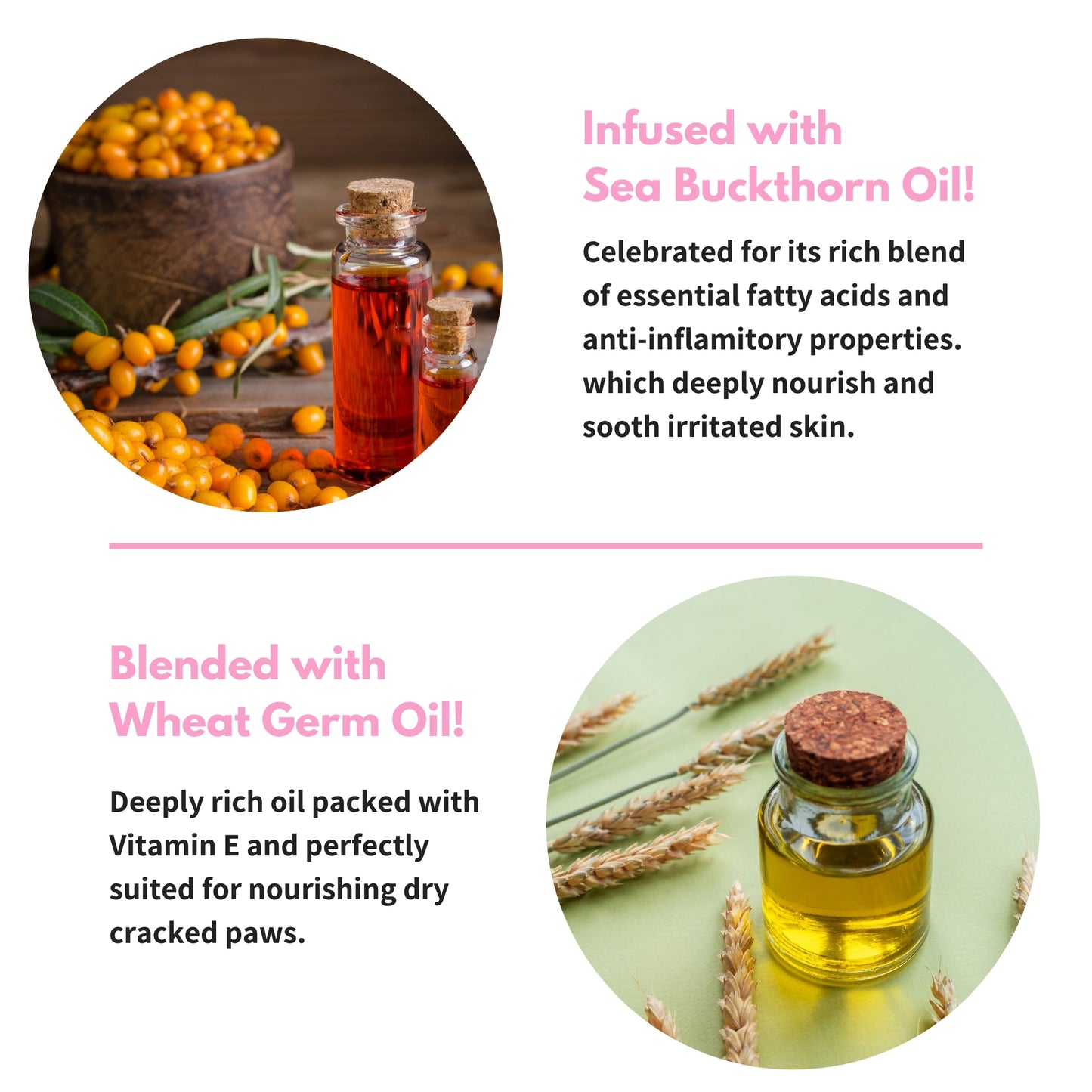 Toe Bean Oil