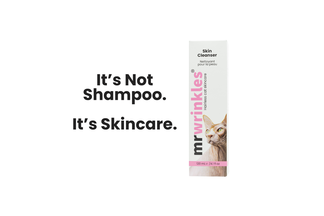 Mr Wrinkles Skin Cleanser for Sphynx cats displayed beside the text It's Not Shampoo. It's Skincare — hairless cat skincare product