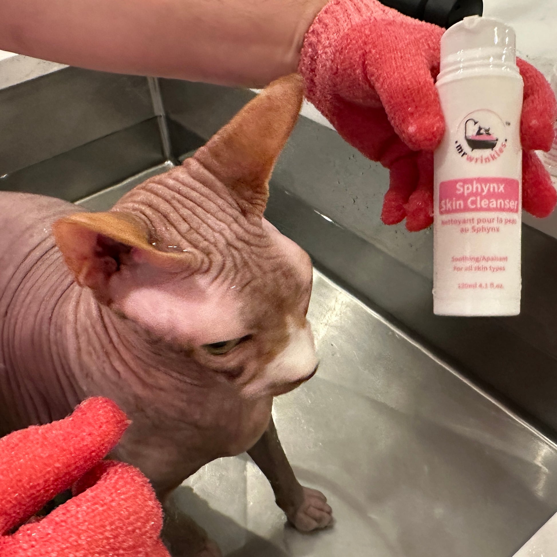 Mr Wrinkles® Sphynx Hairless Cat Skin Cleanser Gentler than