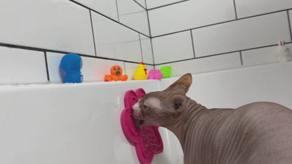 Hairless Cat Skin Cleanser