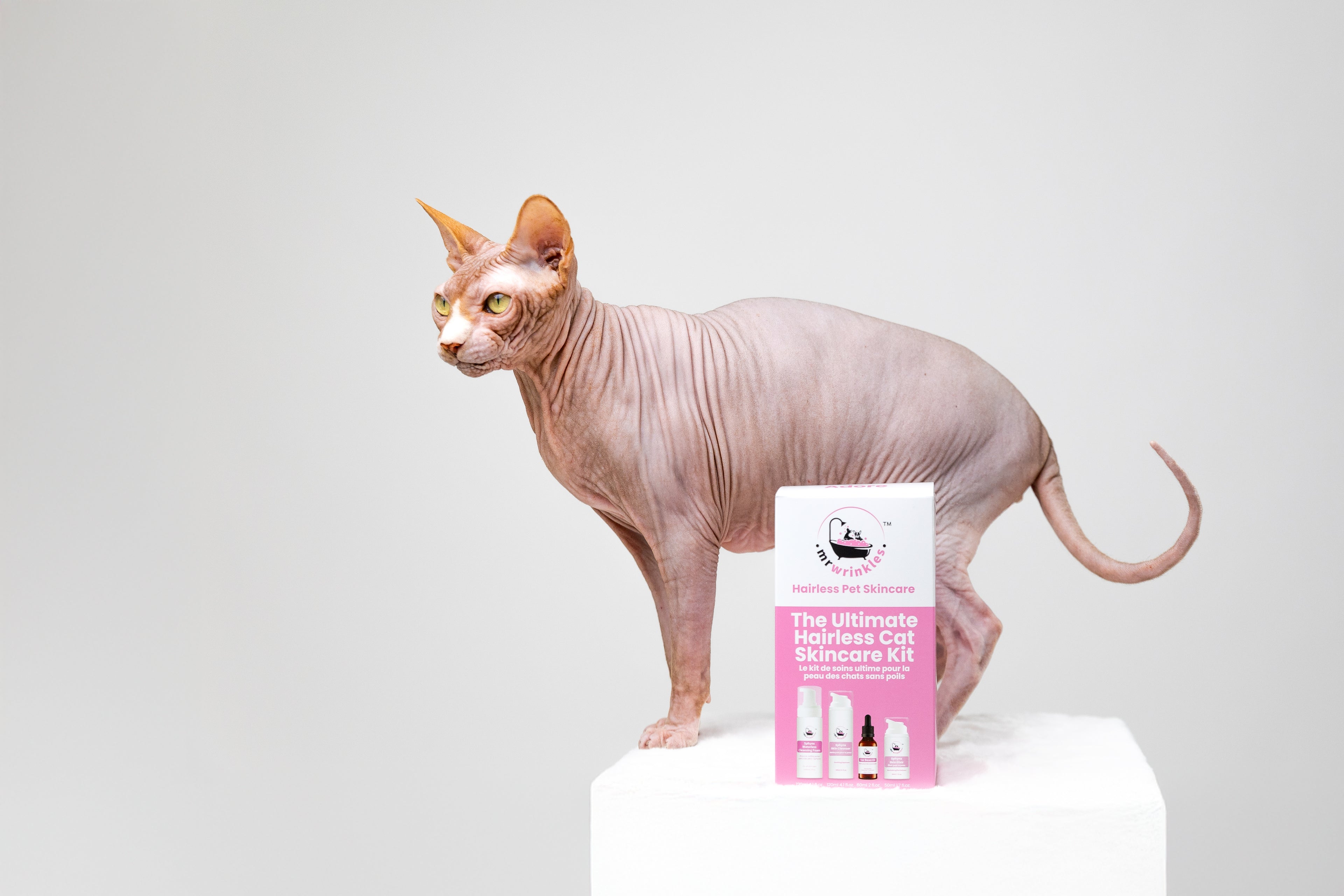 Mr Wrinkles hairless cat skincare kit product shot with the Sphynx Mr Wrinkles standing beside the products